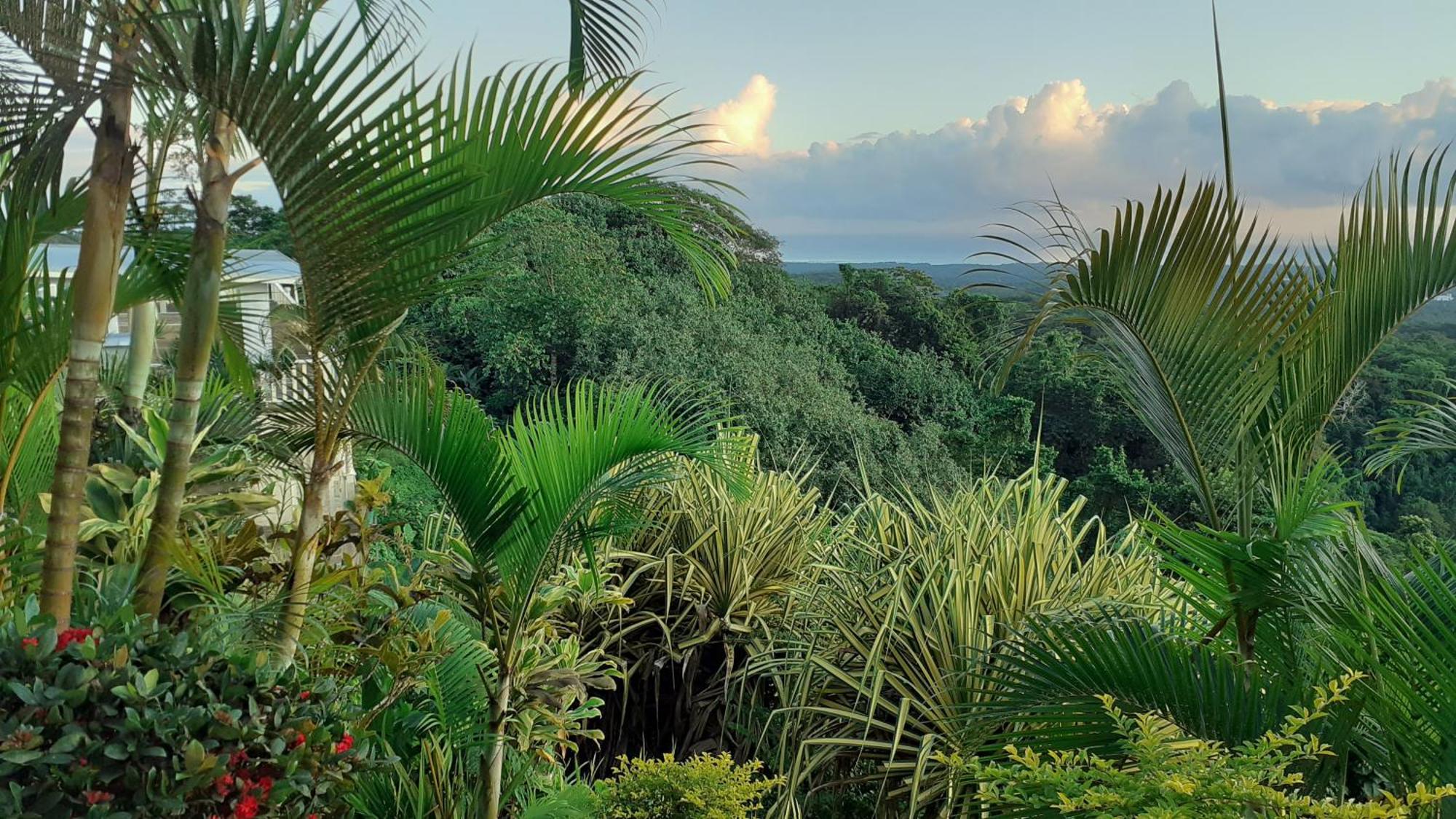 Dave Parker Eco Lodge Hotel อาเพีย ภายนอก รูปภาพ
