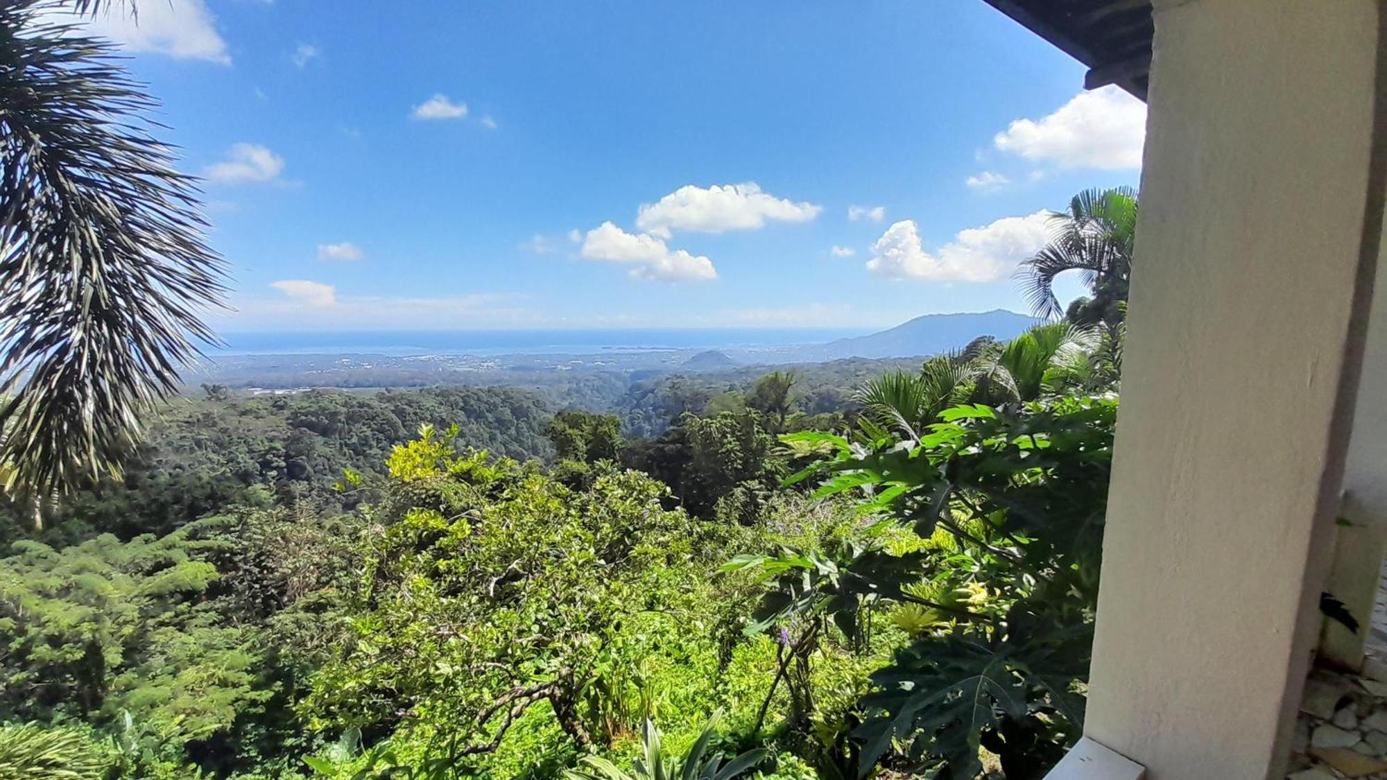 Dave Parker Eco Lodge Hotel อาเพีย ภายนอก รูปภาพ