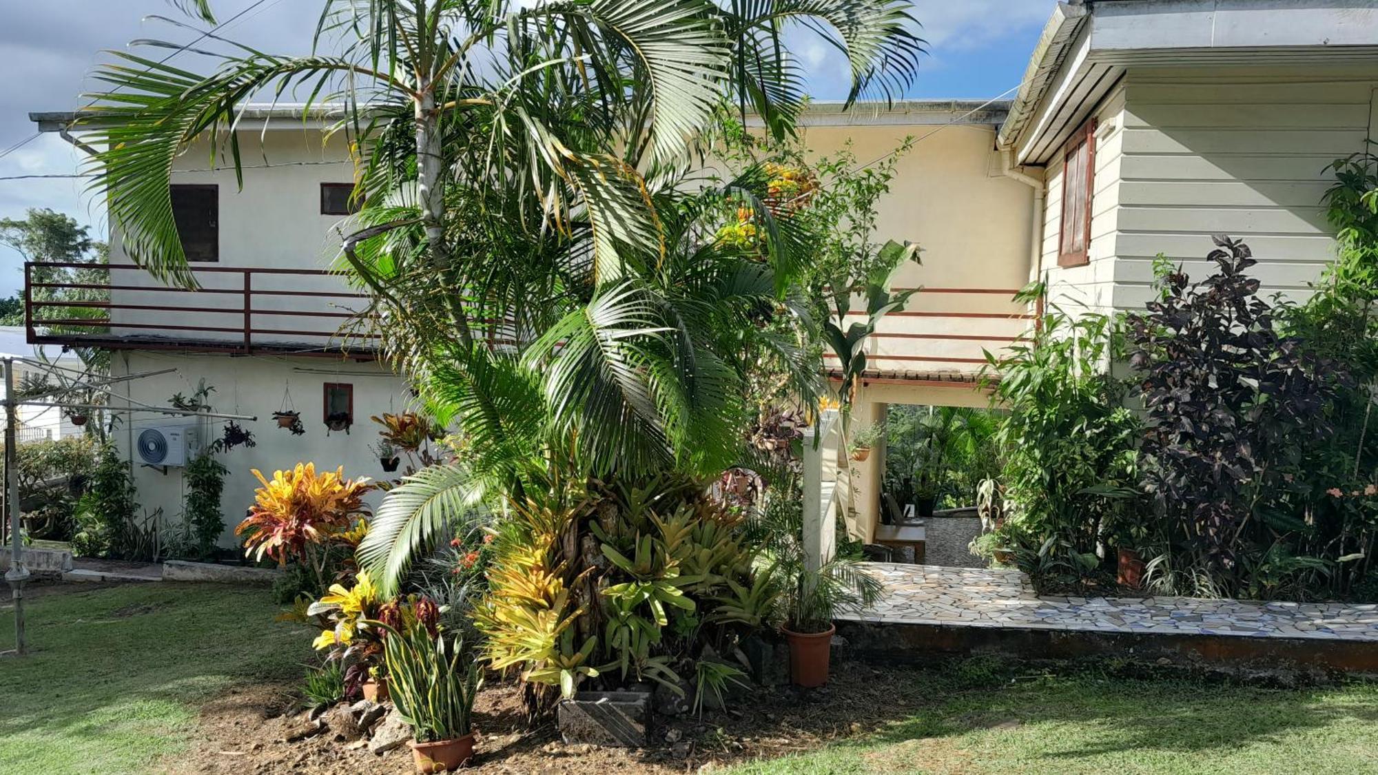 Dave Parker Eco Lodge Hotel อาเพีย ภายนอก รูปภาพ