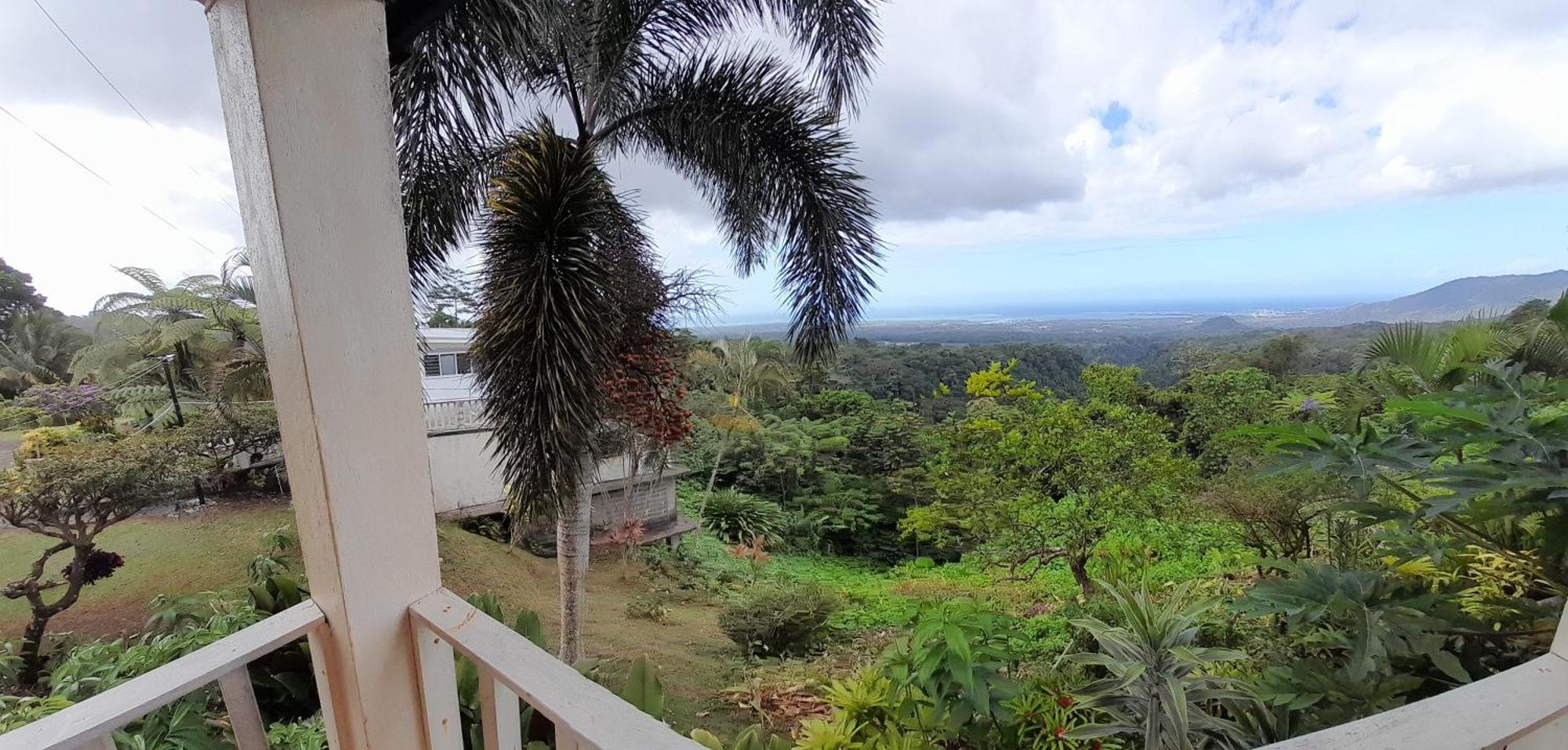 Dave Parker Eco Lodge Hotel อาเพีย ภายนอก รูปภาพ