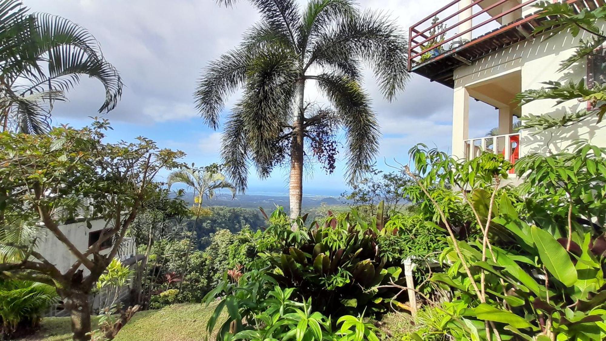 Dave Parker Eco Lodge Hotel อาเพีย ภายนอก รูปภาพ