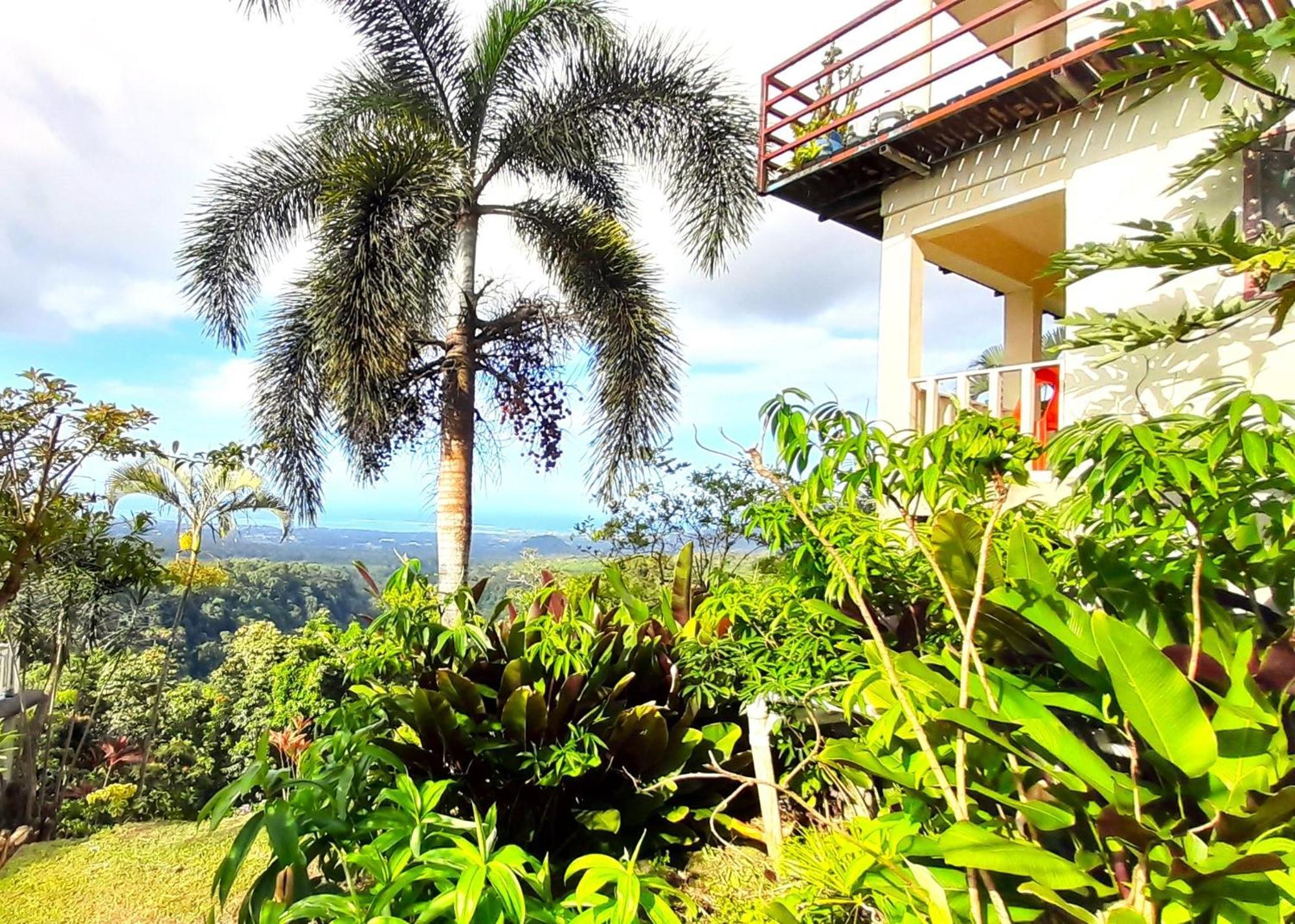Dave Parker Eco Lodge Hotel อาเพีย ภายนอก รูปภาพ