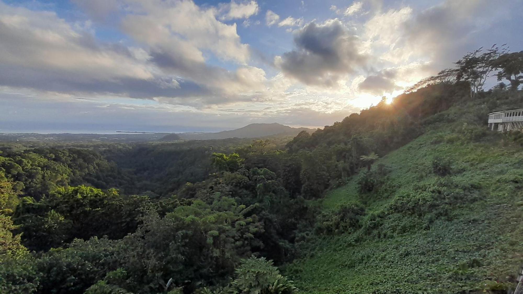 Dave Parker Eco Lodge Hotel อาเพีย ภายนอก รูปภาพ