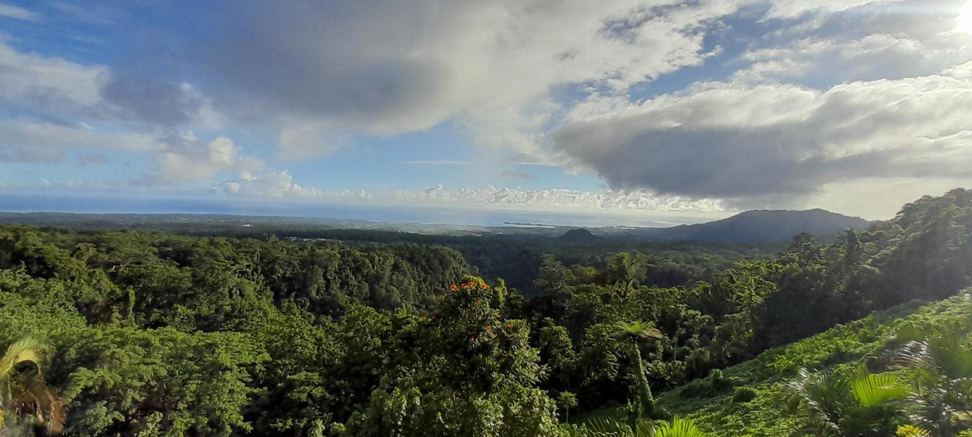 Dave Parker Eco Lodge Hotel อาเพีย ภายนอก รูปภาพ
